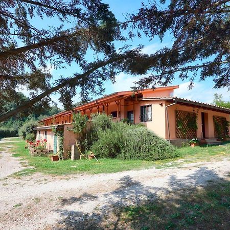 La Dimora Degli Etruschi Vandrerhjem Civitella Cesi Eksteriør bilde