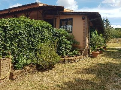 La Dimora Degli Etruschi Vandrerhjem Civitella Cesi Eksteriør bilde